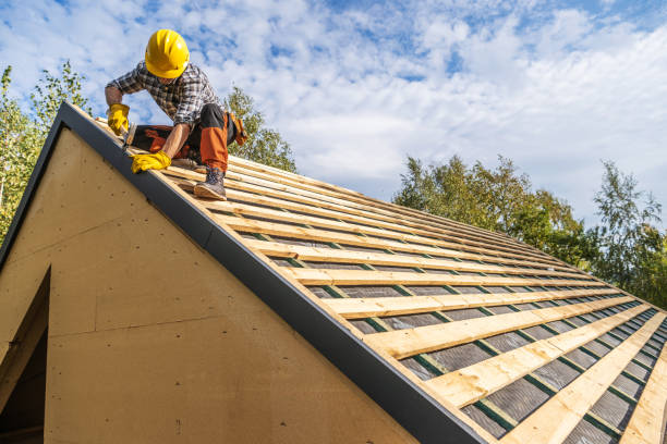 Best Metal Roofing Contractor  in Avon Park, FL