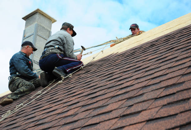 Best Shingle Roofing Installation  in Avon Park, FL